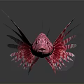 Vibrant Red And White Striped Lionfish With Elongated Fins Against Dark Background