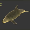 Realistic Gray Dolphin With Streamlined Body In 3D Rendered Underwater Scene