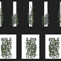 Climbing Vines With Green Leaves And Purple Flowers For Wall And Column Decoration Design