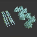 Clustered Green Leafy Plants With Pink Flowers Arranged On White Background