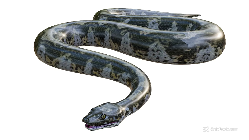 Large Reptile Python Snake With Coiled Body And Green Black Skin Scales 3d model 