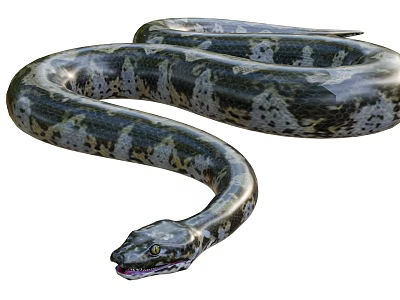 Large Reptile Python Snake With Coiled Body And Green Black Skin Scales 3d model