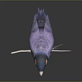 Purple Bird With Blue Head Yellow Eye Ring Open Beak Perched On Branch Dark Background
