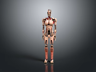 Humanoid Robot With Mechanical Body And Internal Biological Organs Standing In Gray Background 3d model