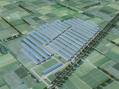 Aerial Planning of Organized Greenhouse Complex Within Agricultural Farmland Layout With Road And Vegetation 3d model