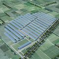 Aerial Planning of Organized Greenhouse Complex Within Agricultural Farmland Layout With Road And Vegetation