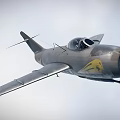 Realistic Fighter 3D Model 3d model