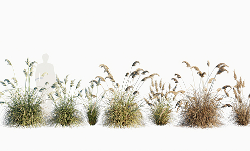 modern grass weed 3d model