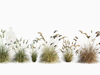 modern grass weed 3d model