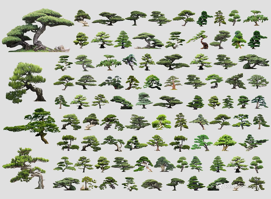 Various Bonsai Trees Collection With Different Shapes And Styles For Garden Design 3d model 