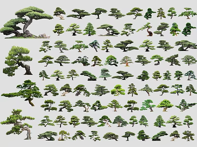 Various Bonsai Trees Collection With Different Shapes And Styles For Garden Design 3d model