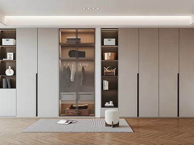 Elegant Modern Wardrobe Interior Design With Glass Doors Hanging Rails And Storage Shelves 3d model