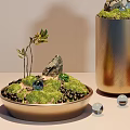 Stylish Bonsai Potted Plants with Moss Rock Stones and Glass Balls in Gold Round Pots