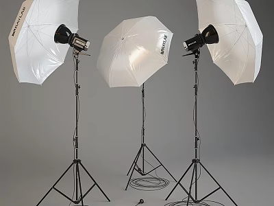 Studio Photography Lighting Equipment With White Umbrella Softboxes And Tripod Stands 3d model