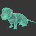 Dachshund With Blue Collar Holding Tennis Ball Standing On Black Reflective Surface Against Dark Background