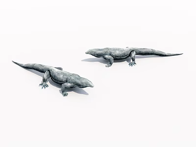 Two Realistic Gray Scaled Reptile Lizards On White Background 3D Rendering 3d model