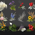 Various Colorful Flower Bouquets With Different Types And Decorative Green Leaves