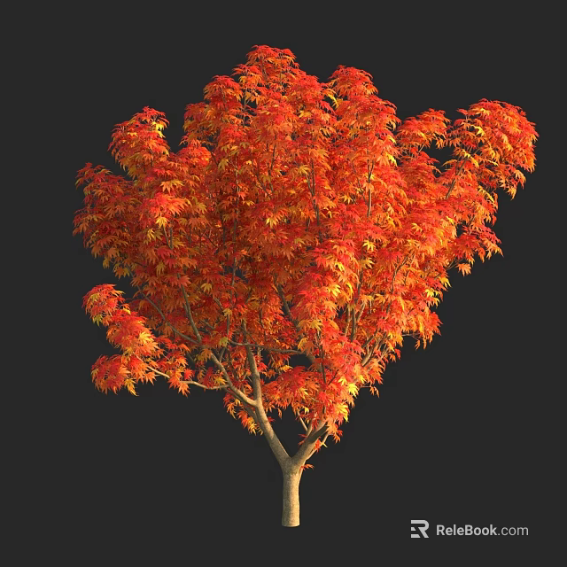 Autumn Arbor with Vibrant Red Orange Leaves and Lush Foliage Against Dark Background 3d model 