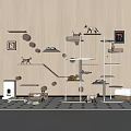 Modern Cat Play Area With Wall Shelves Decorative Art Toys And Rugs