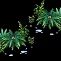 Lush Green Ferns And Purple Flowers With Small Stones In Natural Garden