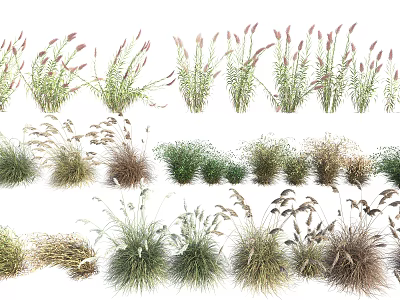 Various Types Of Ornamental Shrubs With Diverse Foliage And Clumping Growth For Landscaping 3d model