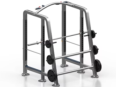 Fitness Equipment Weight Lifting Rack with Barbell Weight Plates and Sturdy Metal Frame 3d model