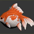 Eye Catching Orange And White Goldfish With Rounded Body And Unique Fins