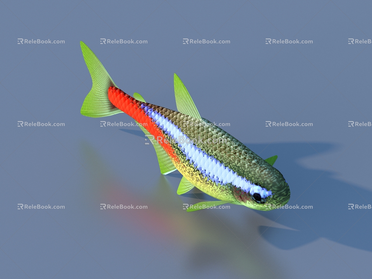 goldfish ornamental fish pet fish koi carp 3d model