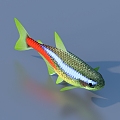 goldfish ornamental fish pet fish koi carp 3d model