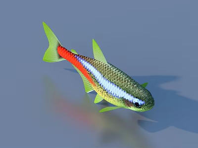 Vibrant Tropical Fish With Green Fins Red Body And Blue Silver Scales 3d model