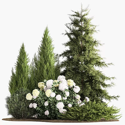 Lush Evergreen Trees With White Hydrangea Flowers In Garden Landscape Design 3d model