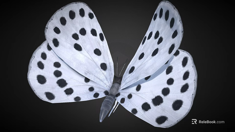 White Winged Black Spotted Butterfly Game Movie Character Design 3d model 