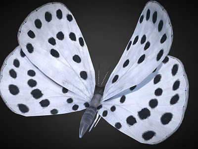 White Winged Black Spotted Butterfly Game Movie Character Design 3d model
