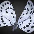White Winged Black Spotted Butterfly Game Movie Character Design