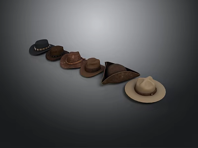 Various Styles Of Hats As Daily Living Products Arranged From Dark To Light Colors 3d model