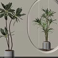 Indoor Decorative Potted Plants with Green Leaves in White Pots and Circular Mirror