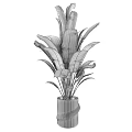 Large Green Leaf Plants in White Decorative Vases for Modern Indoor Decoration