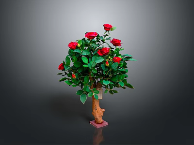 Potted Rose Plant With Red Roses Green Leaves Brown Trunk Pink Base On Gray Background 3d model