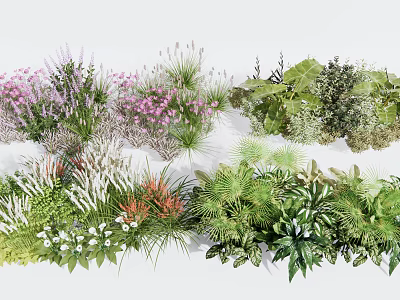 Colorful Assorted Flowers Green Plants With Pink Blooms White Herbs And Fern Collection 3d model