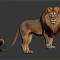 3D Rendered Lion Standing On Dark Background With Distinct Mane And Reflection