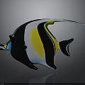 Colorful Tropical Butterflyfish With Black White Yellow Blue Stripes And Long Fins