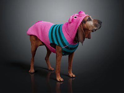 Brown Dog Wearing Pink And Teal Striped Outfit With Pig Ear Decorations 3d model