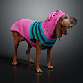 Brown Dog Wearing Pink And Teal Striped Outfit With Pig Ear Decorations