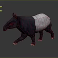 Realistic 3D Tapir Character With Gray And White Body Standing On Reflective Surface
