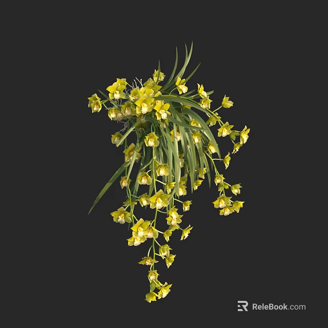 Beautiful Yellow Hanging Flowers With Fresh Green Leaves On Black Background 3d model 
