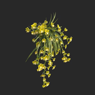 Modern Green Orchid 3d model