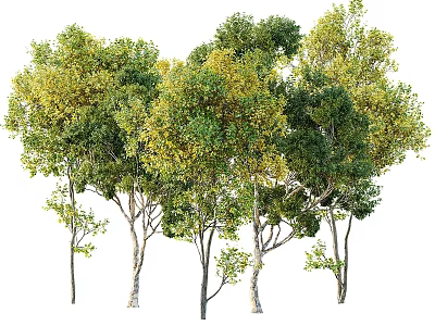Realistic Artificial Decorative Trees Set With Green Yellow Leaves For Home Decor 3d model