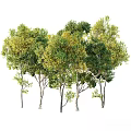 Realistic Artificial Decorative Trees Set With Green Yellow Leaves For Home Decor