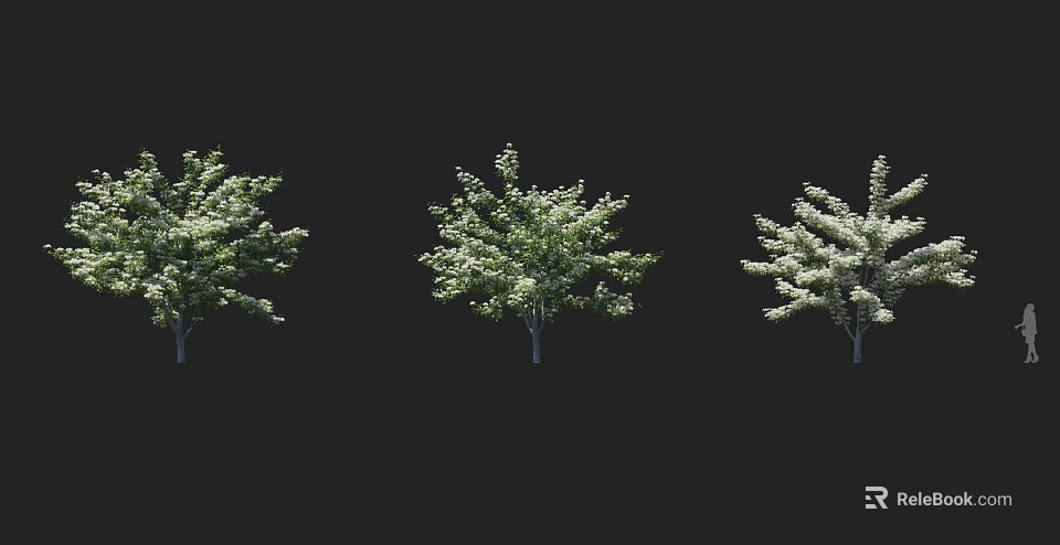 Three Trees With White Flowers And Green Leaves Against Black Background 3d model 