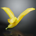 Folded Banana with Wing Shaped Design on Dark Background with Reflection